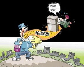 家电维修 小毛病 大处方 难题待解